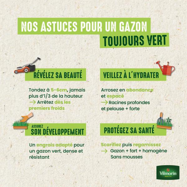Terrain Sec - Gazon Terrain Sec - 250 g - image